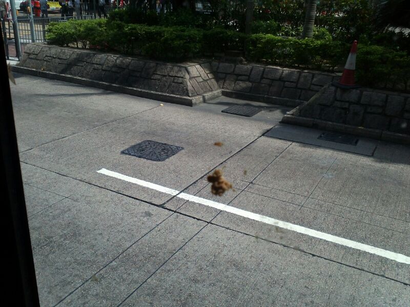 IMG-20130709-WA0000.jpg