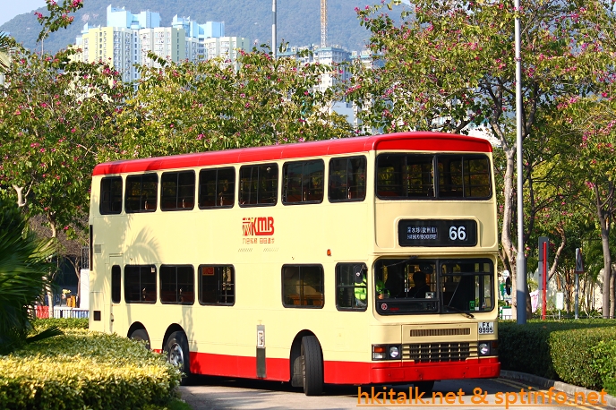 FX9995.JPG