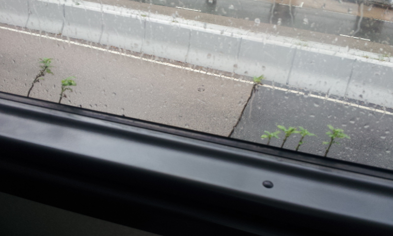 20130716_124429.jpg