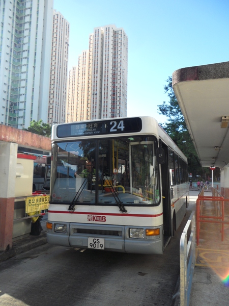 GS9019_GoodDisplay.jpg