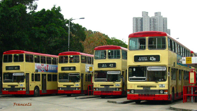 3N135_DK1494 @ 43B_2.jpg