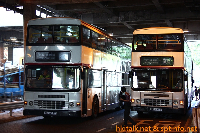 HG3037.JPG