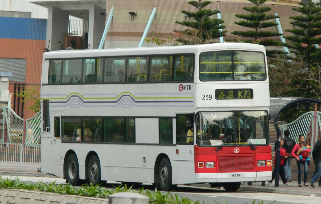 239.jpg