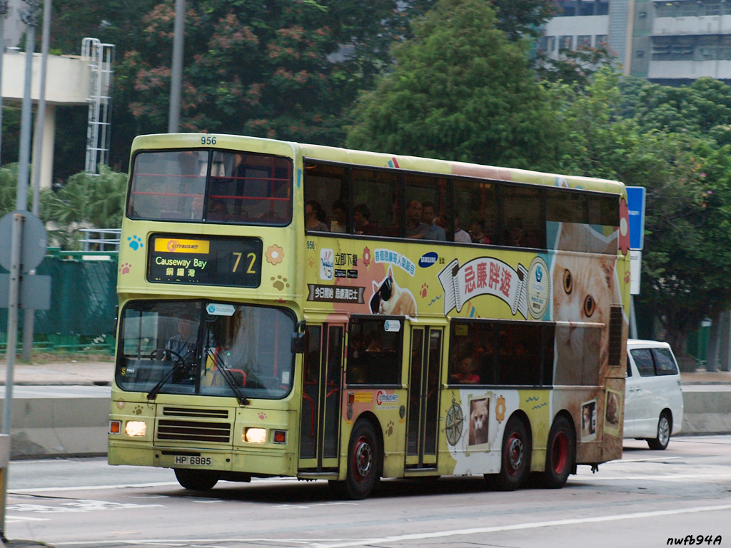 P9151145.jpg