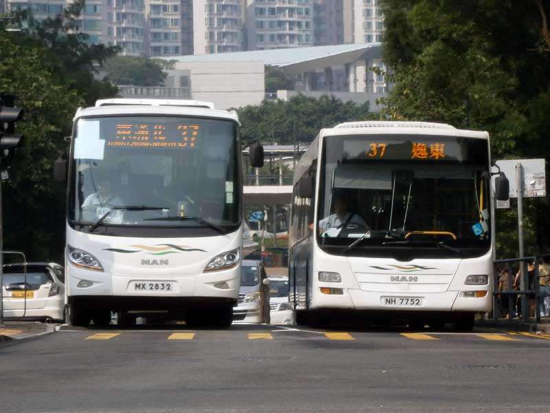 3737.jpg