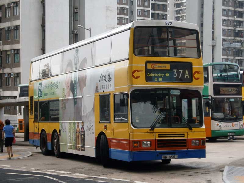 972.jpg