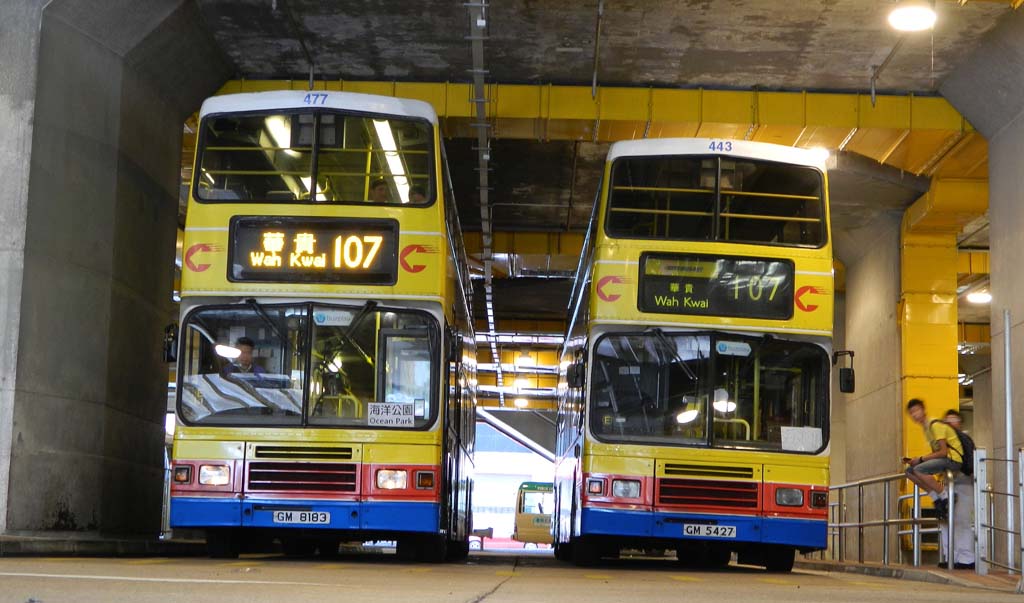 477+443.jpg