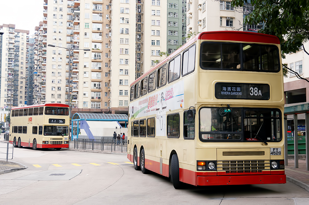 DSC00413_DxO.jpg