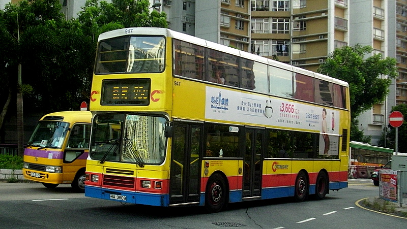 p8900243.jpg