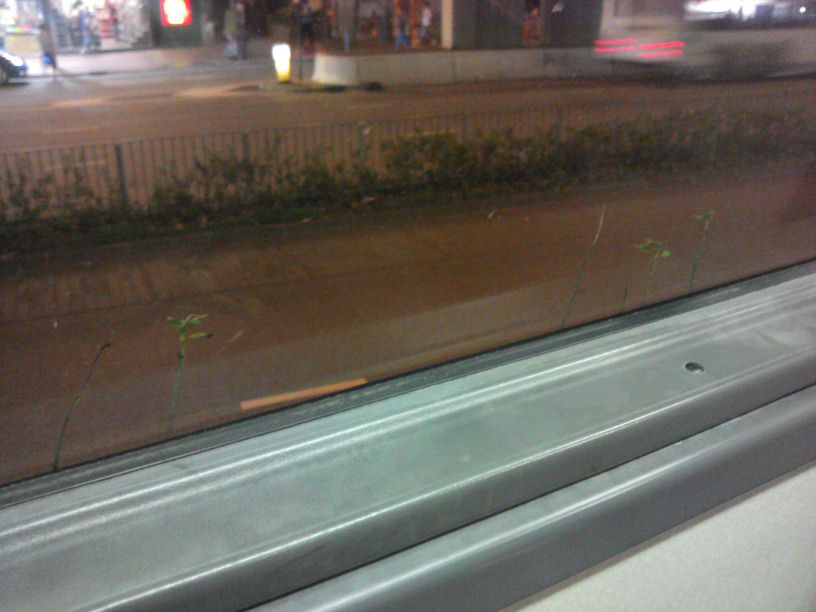 IMG-20131018-WA0004.jpg