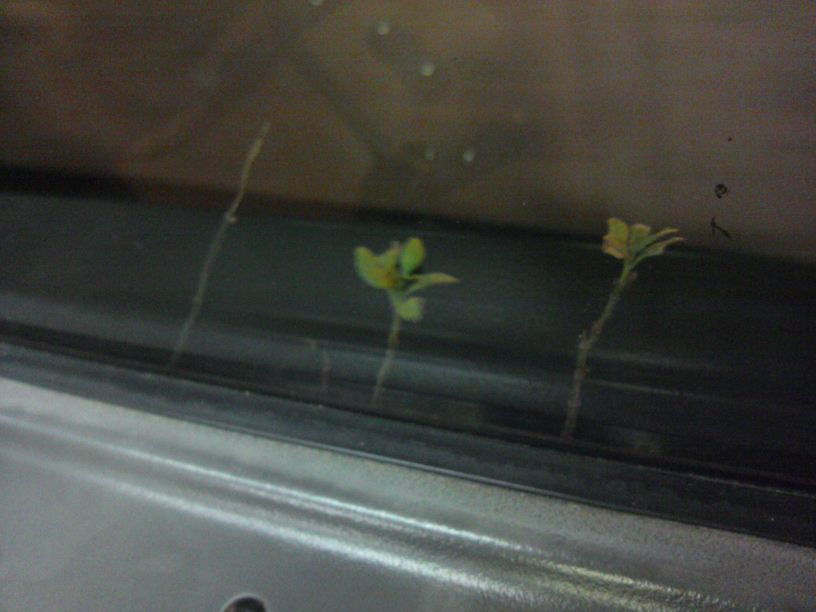 IMG-20131018-WA0006.jpg