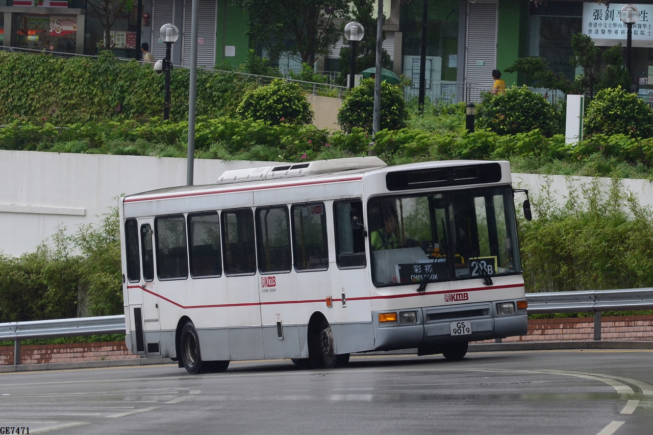 DSC_7329.JPG