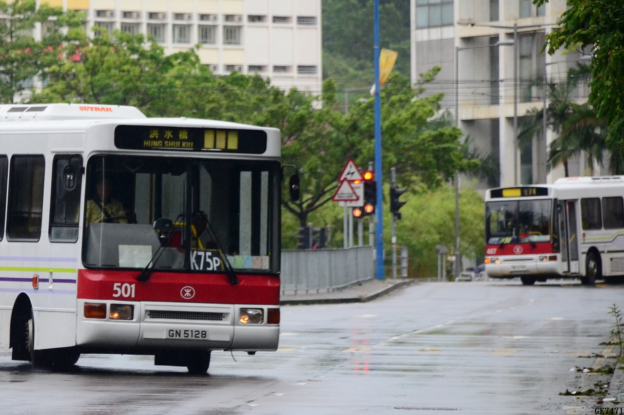 DSC_8260a.jpg