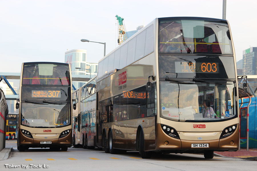 603e50d-5.jpg