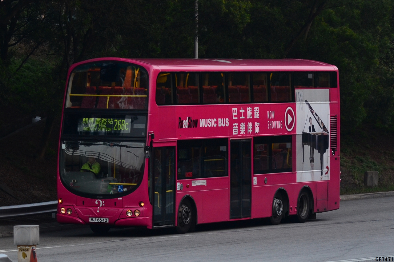 DSC_8202.JPG