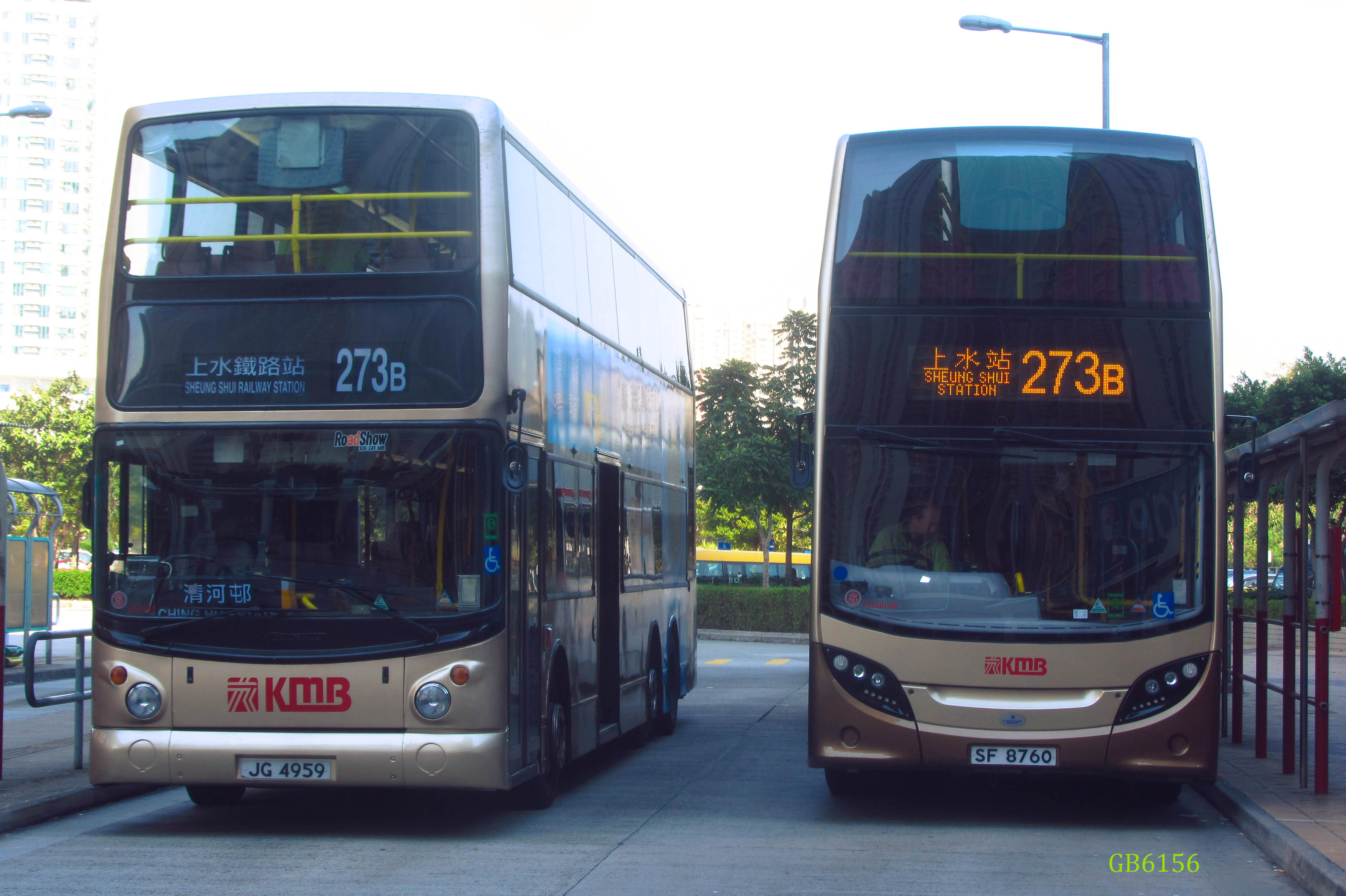DSC_7201.jpg