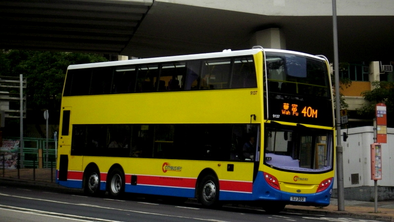 p8910241.jpg