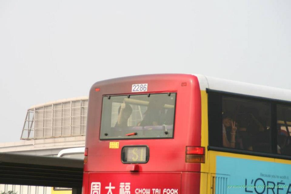 558333_4410689146147_1119001477_n.jpg