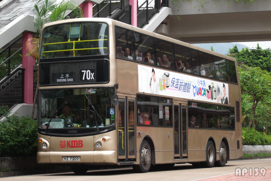 HZ7309@70X.jpg