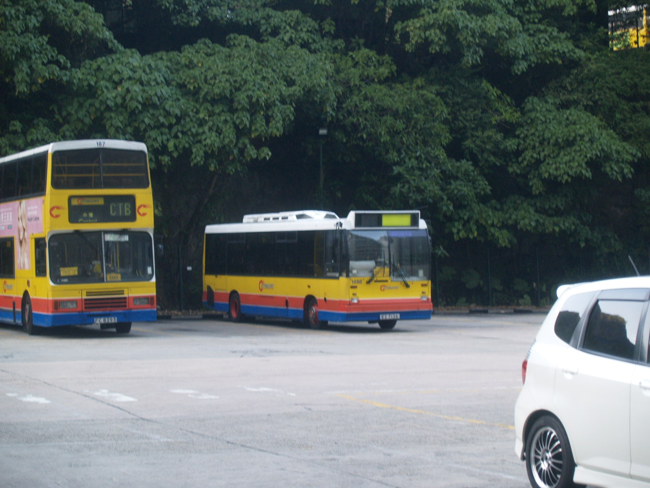 P1016821.JPG