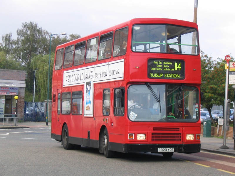 494.jpg