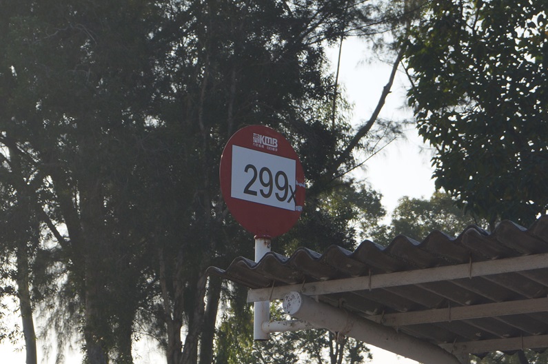 299X.jpg