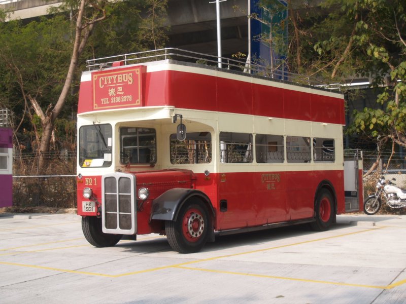 P1016934.jpg