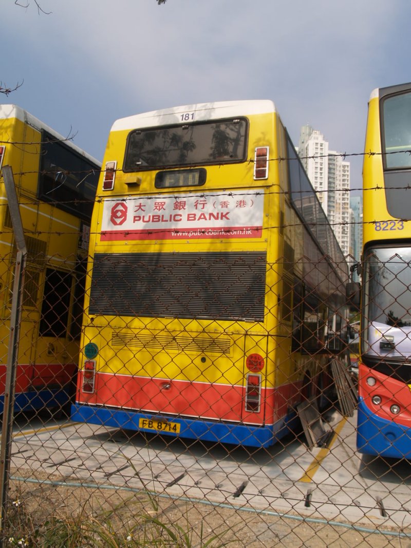 P1016940.jpg