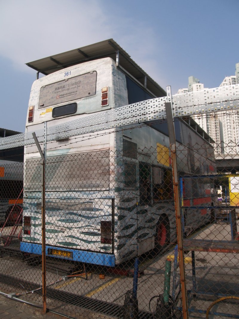P1016945.jpg