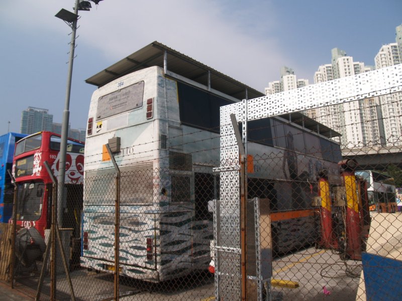 P1016946.jpg