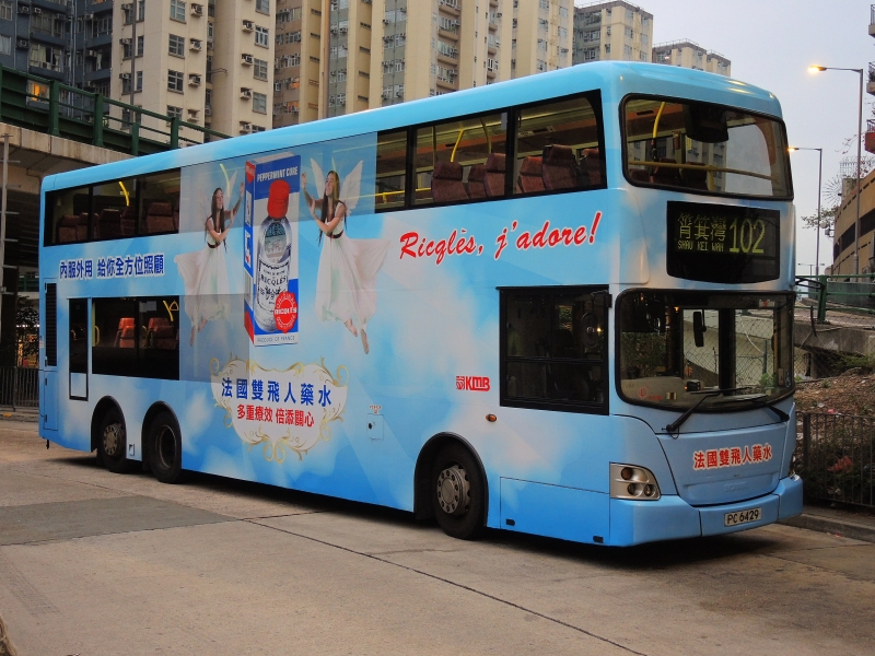 DSCN9687.JPG