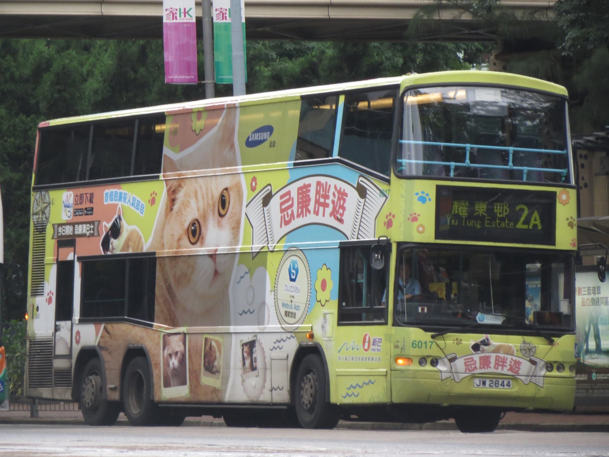 6017-2A.jpg