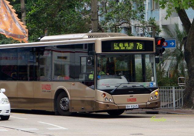AVC60@7B.jpg