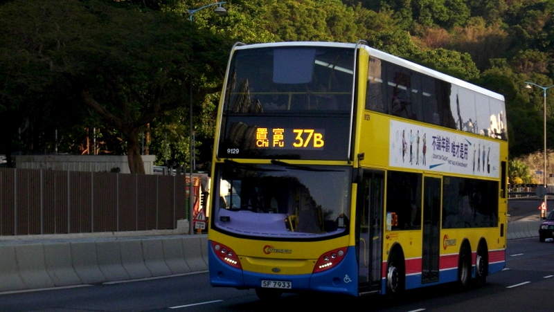 9129.jpg
