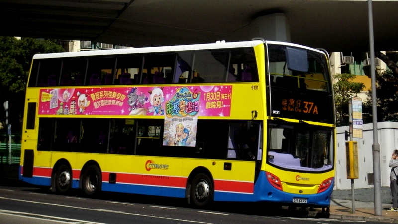 9131.jpg