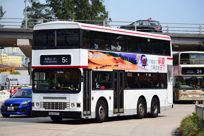 GU3677-5C.JPG