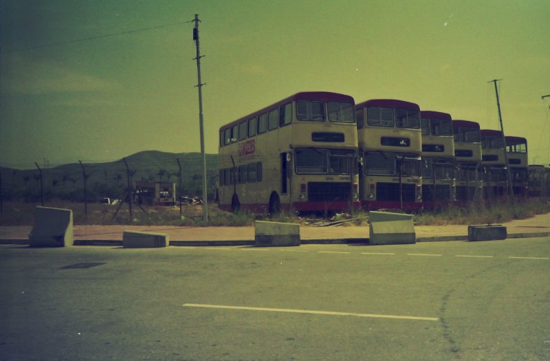 tong_g_3_1.jpg