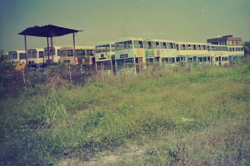tai_tong_3_1.jpg