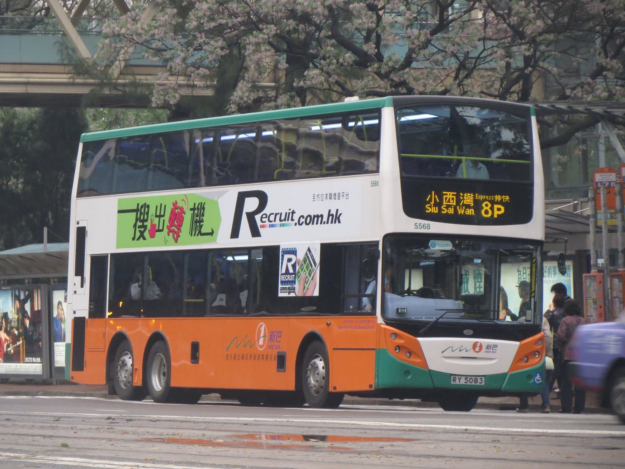 5568-8P.jpg
