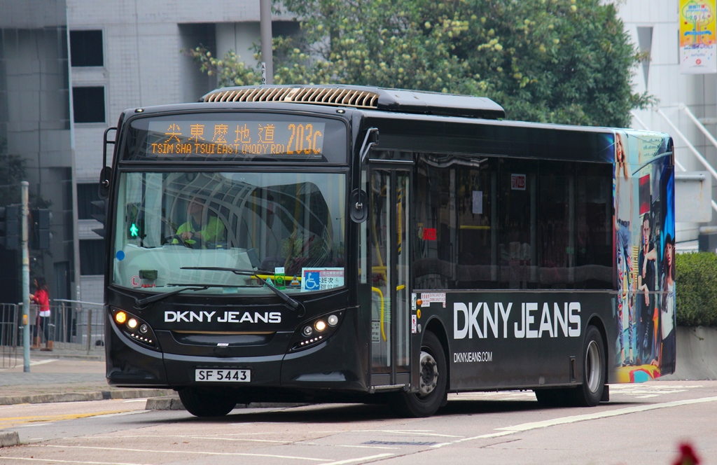 SF5443_203C.JPG