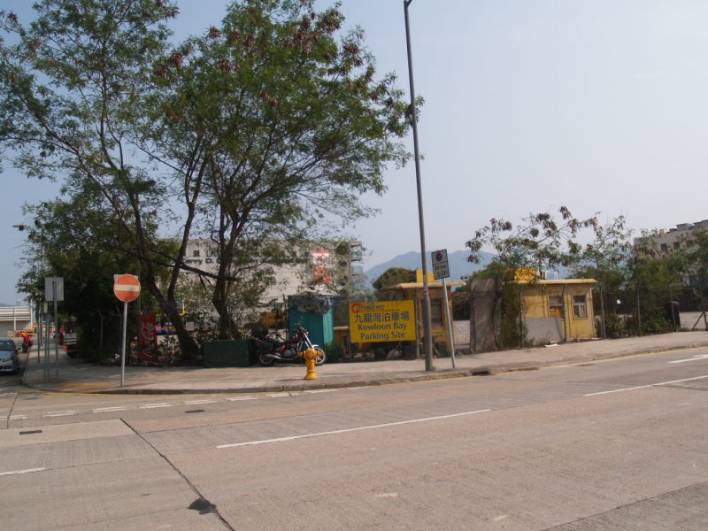 P1017201.jpg