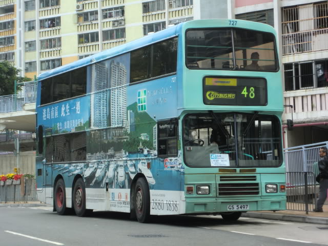 CIMG0483-1.jpg