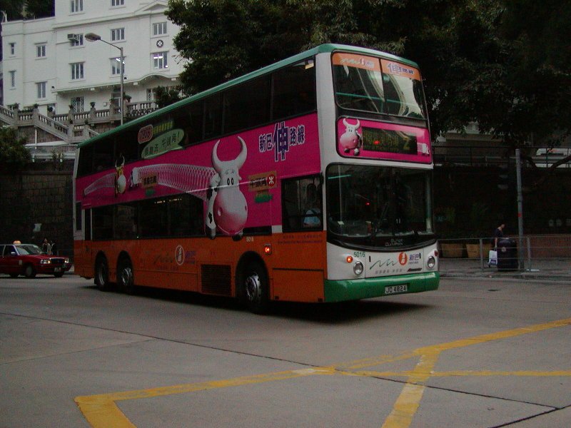 n_5016_8.jpg