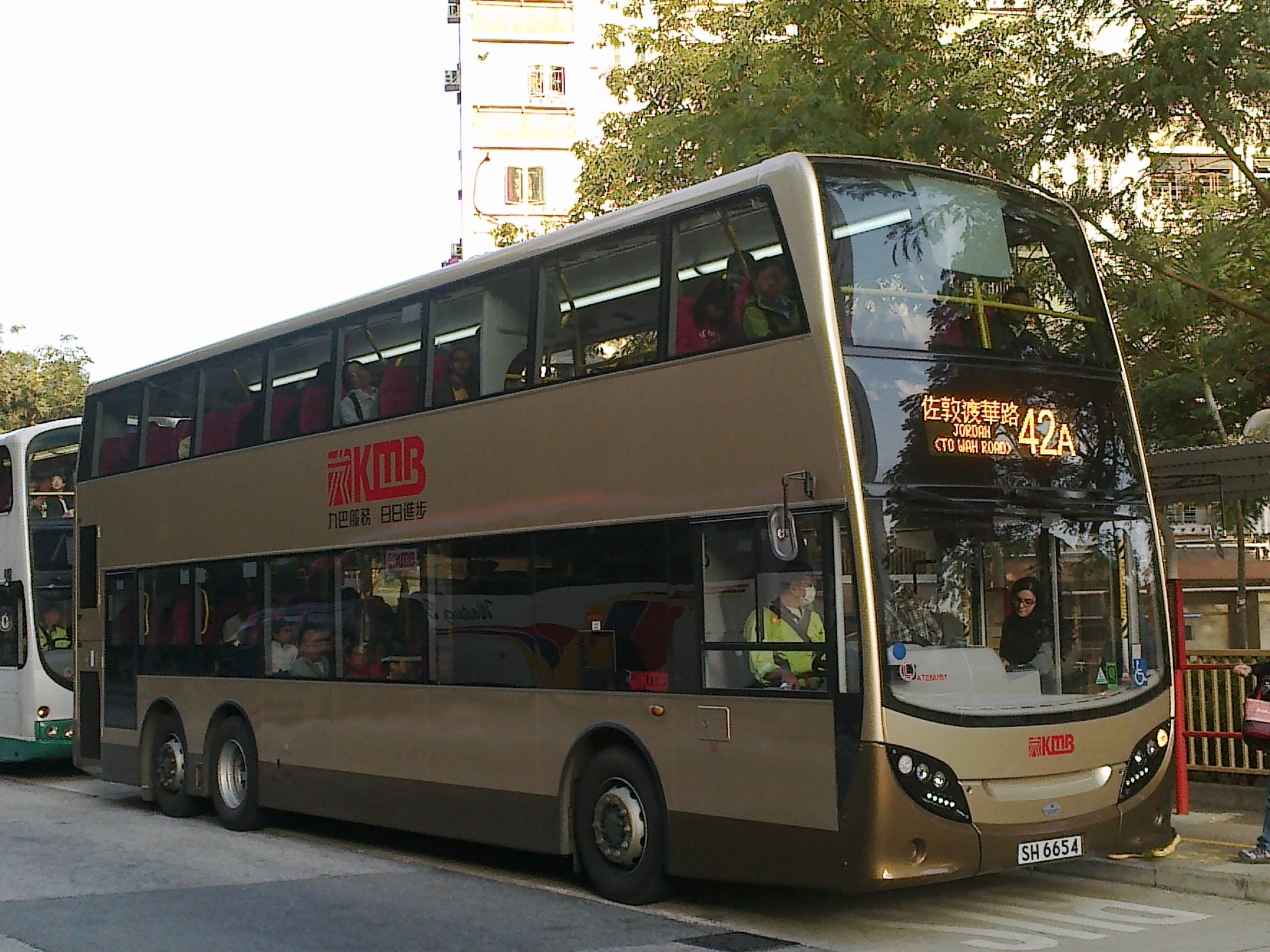 SH6654 42A J.jpg
