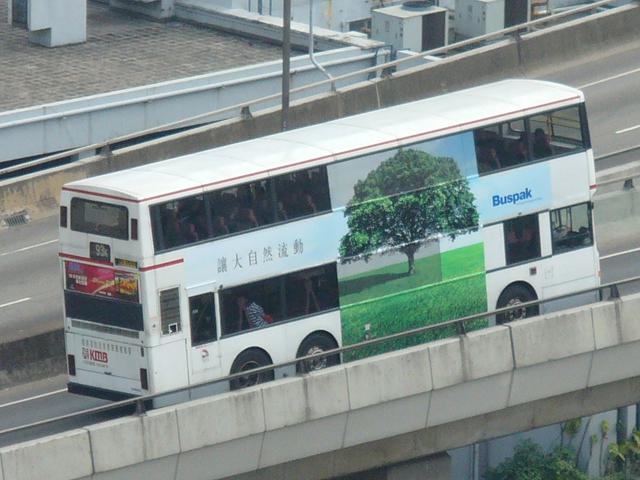 P1370675.JPG