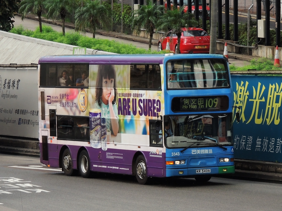 3343-2.jpg