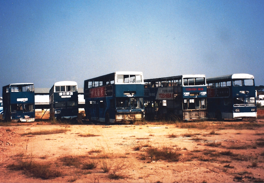 jumbo4s.jpg