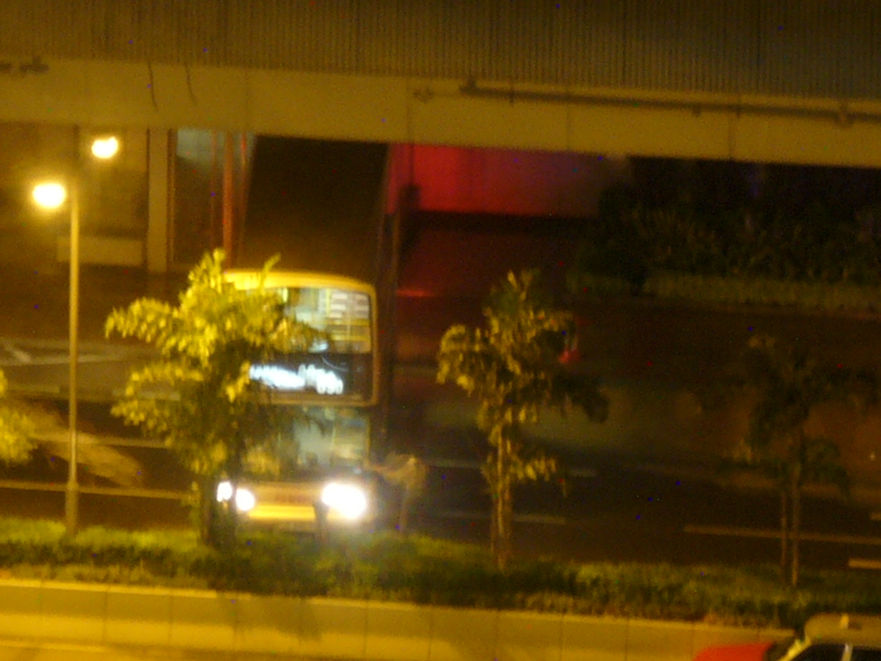 P1490102.JPG