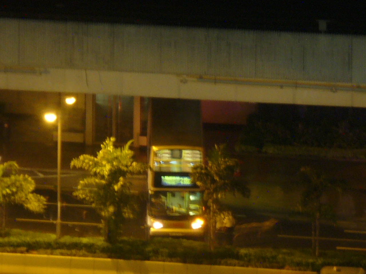 P1490084.JPG
