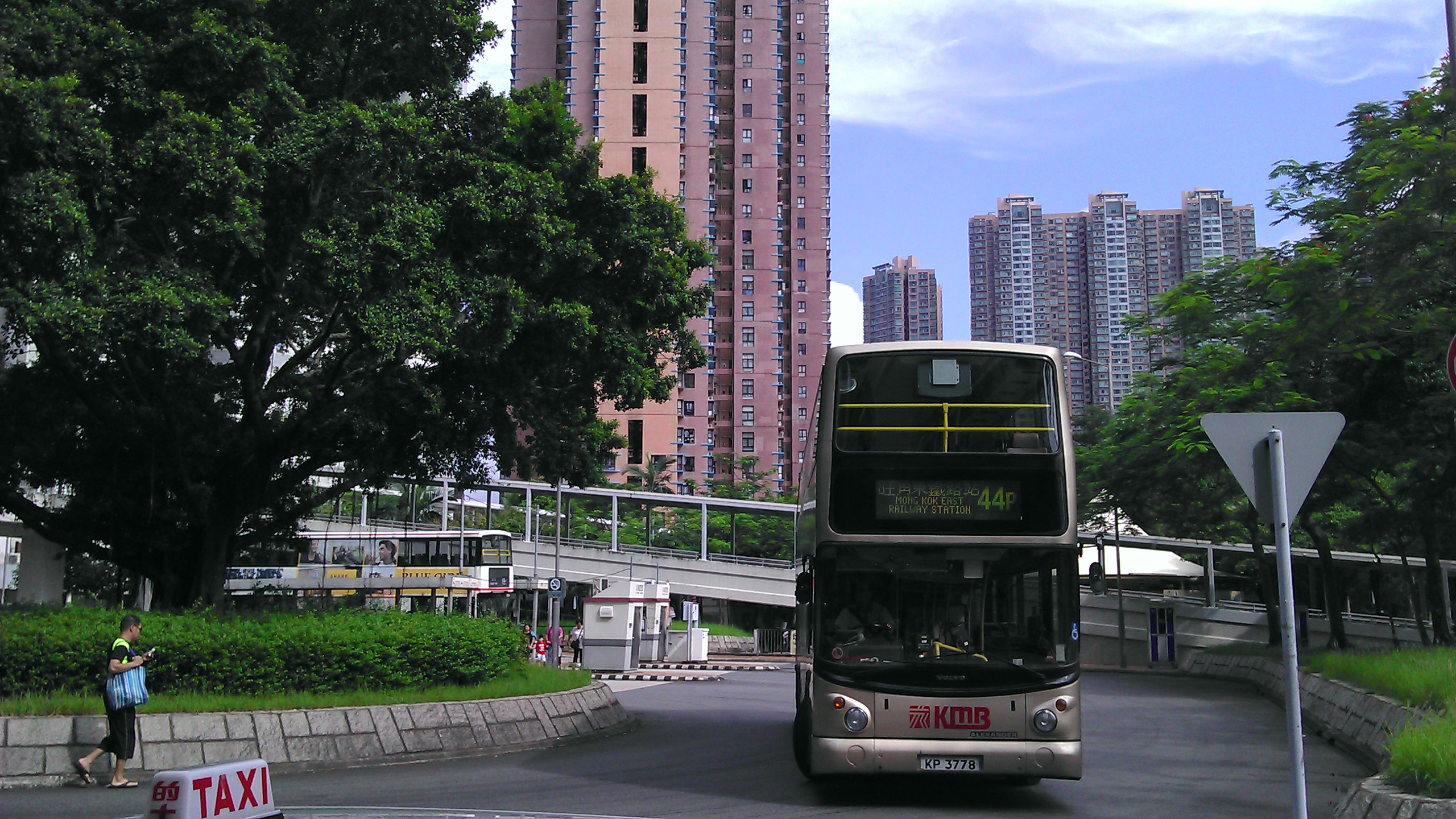 IMAG8102.jpg